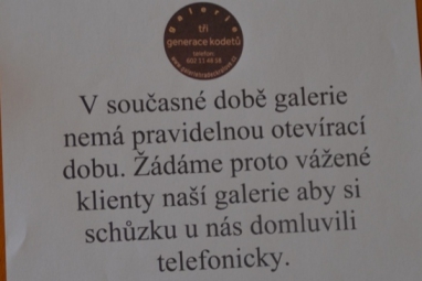 Aktuální změna - Otevírací doba dle objednání návštěvy galerie